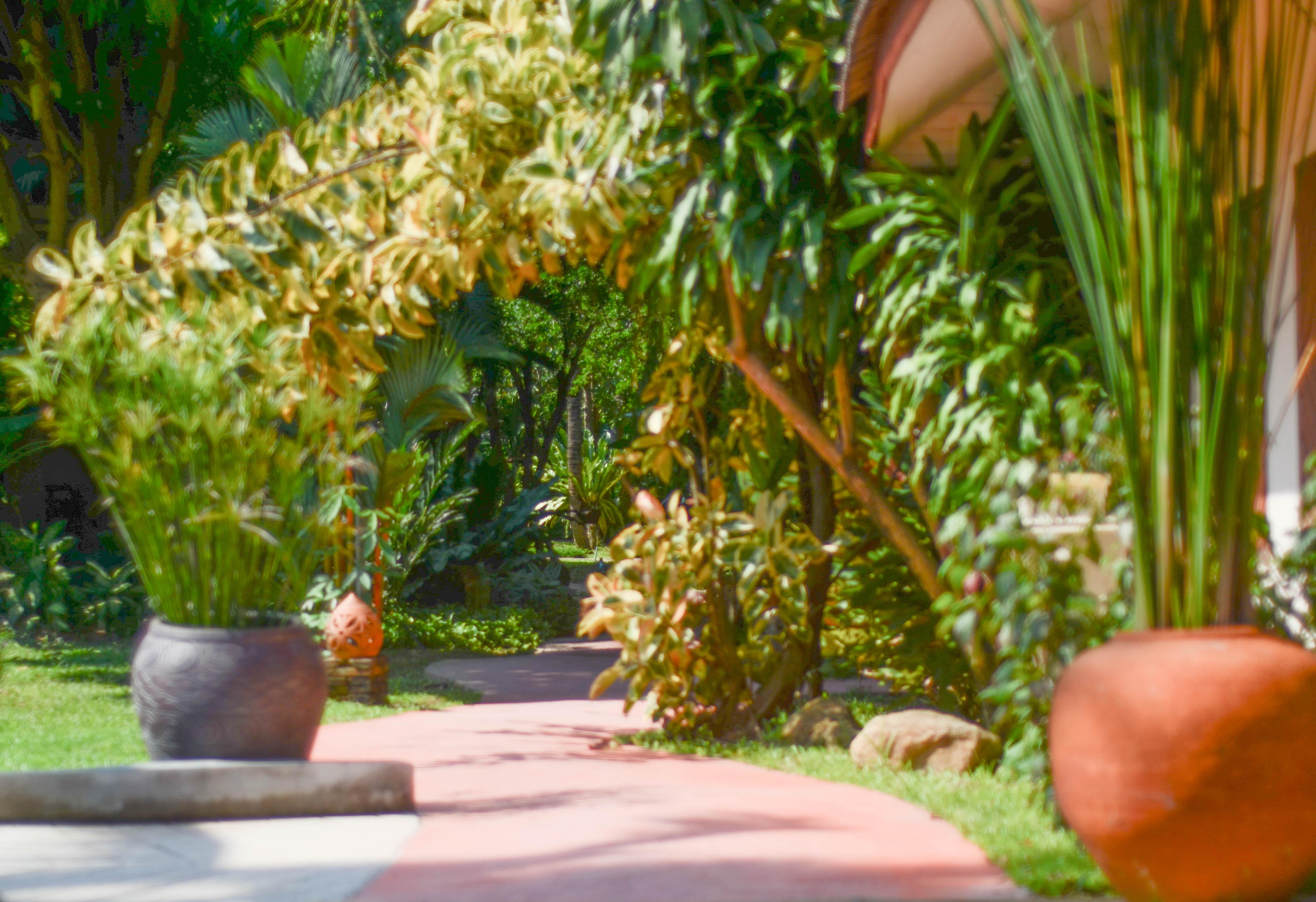 Samui Sense Beach Resort Lamai Beach  Exterior foto